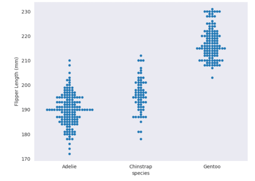 a swarm plot with a gray background and blue dots showing penguin flipper length by spiecies